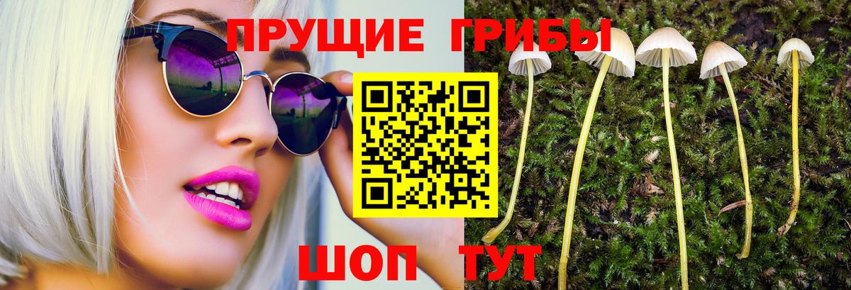 Псилоцибиновые грибы Magic Shrooms  Вход с VPN  Магадан 